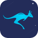 Daishu Mobile VPN, 袋鼠请将以下内容以不同的方式表达，同时确保保留任何可能的token，例如手机梯子榜单。如果token前缀是[custom:]，请务必保留并确保拼写正确。请保留任何可能的HTML格式。仅提供答案，原始文本如下：手机梯子。